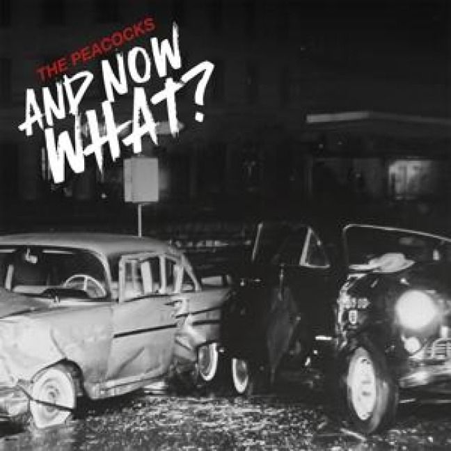 Produktbild: And Now What?(Digisleeve)
