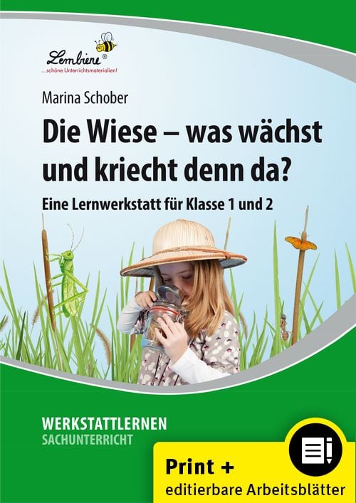 Produktbild: Die Wiese - was w&auml;chst und kriecht denn da?