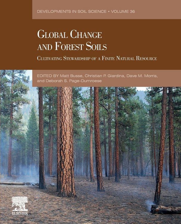 Produktbild: Global Change and Forest Soils