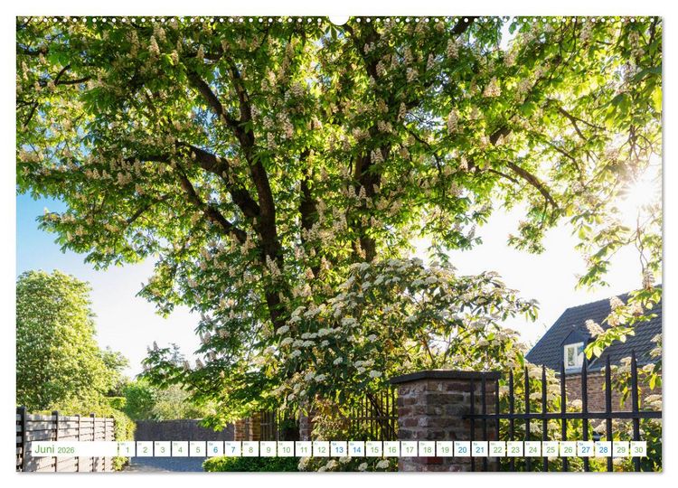 Produktbild: K&ouml;ln Widdersdorf - Bl&uuml;tentr&auml;ume und l&auml;ndliche Idylle (hochwertiger Premium Wandkalender 2026 DIN A2 quer), Kunstdruck in Hochglanz