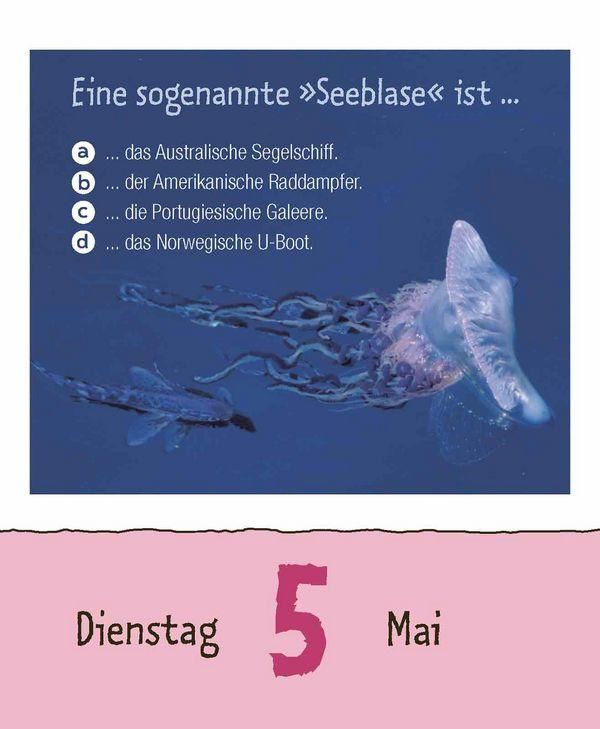 Produktbild: Wie faul ist das Faultier? 2026