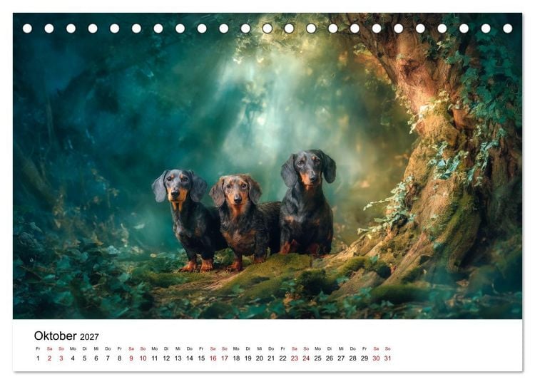 Produktbild: Herzensbrecher - Ein Jahr mit Dackeln (Tischkalender 2027 DIN A5 quer), CALVENDO Monatskalender