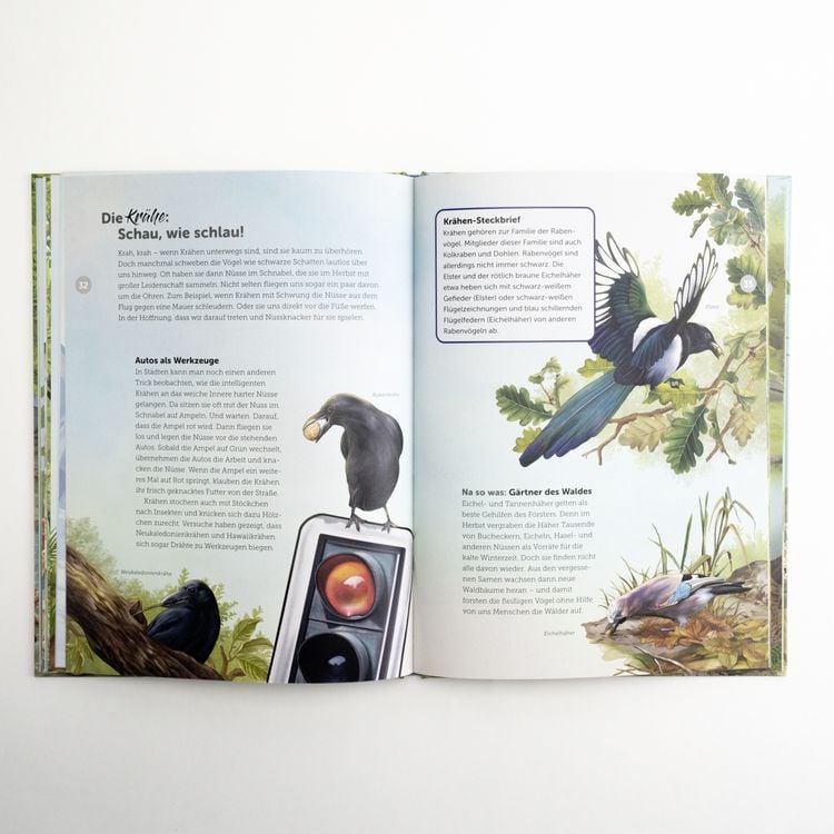 Produktbild: Die Werkzeugkiste der Tiere