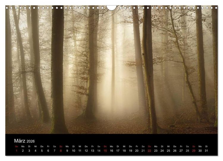 Produktbild: Mysterium Wald (Wandkalender 2026 DIN A3 quer), CALVENDO Monatskalender