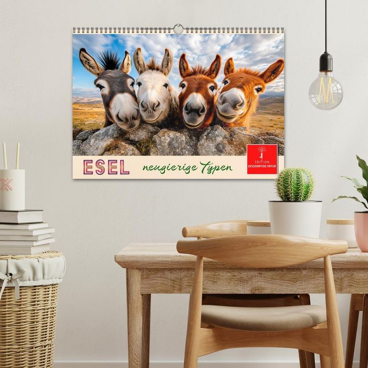 Produktbild: Esel - neugierige Typen (Wandkalender 2027 DIN A3 quer), CALVENDO Monatskalender
