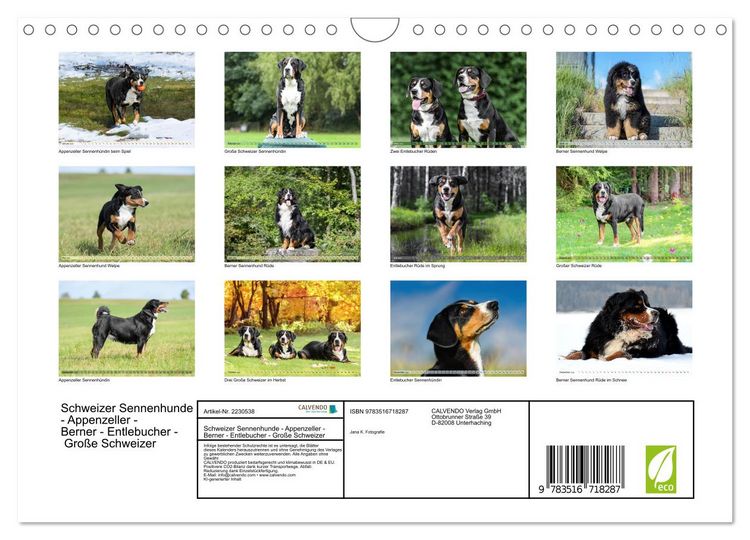 Produktbild: Schweizer Sennenhunde - Appenzeller - Berner - Entlebucher - Gro&szlig;e Schweizer (Wandkalender 2026 DIN A4 quer), CALVENDO Monatskalender
