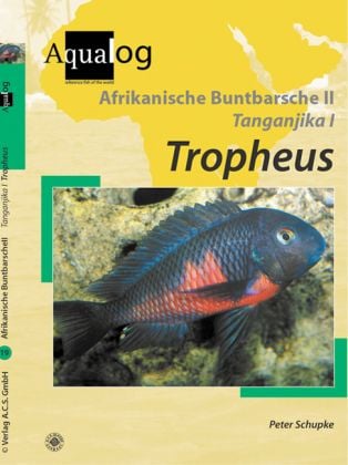 Produktbild: Tropheus (Afrikanische Buntbarsche II; Tanganjika 1)