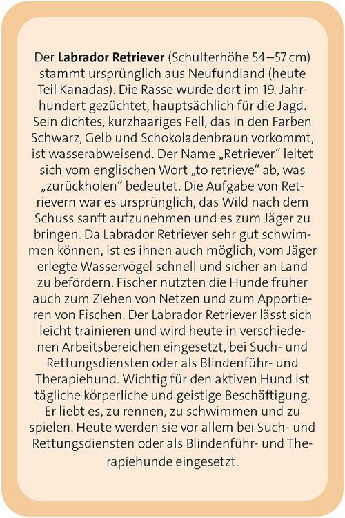 Produktbild: Das gro&szlig;e Hunde Quiz