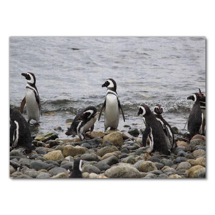 Produktbild: Lais Puzzle Pinguine 1000 Teile