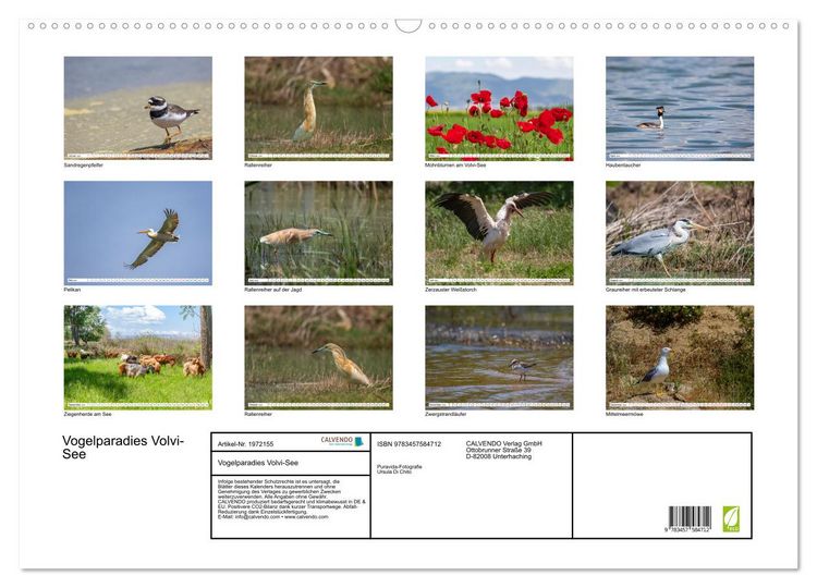 Produktbild: Vogelparadies Volvi-See (Wandkalender 2026 DIN A2 quer), CALVENDO Monatskalender