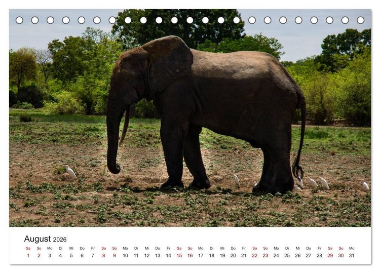 Produktbild: Eine Reise durch Ghana (Tischkalender 2026 DIN A5 quer), CALVENDO Monatskalender