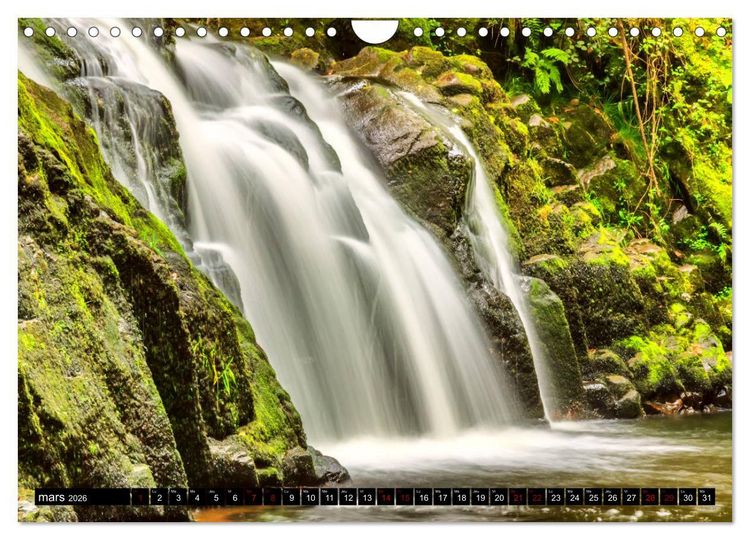 Produktbild: L'&eacute;t&eacute; dans les Vosges (Calendrier mural 2026 DIN A4 vertical), CALVENDO calendrier mensuel