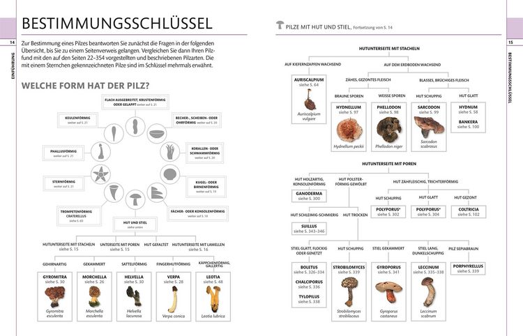 Produktbild: Pilze
