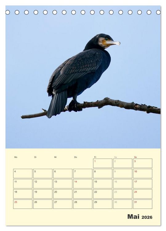 Produktbild: Vogelwelt an der Sieg (Tischkalender 2026 DIN A5 hoch), CALVENDO Monatskalender