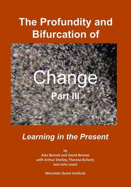 Produktbild: The Profundity and Bifurcation of Change Part III