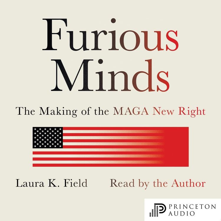 Produktbild: Furious Minds