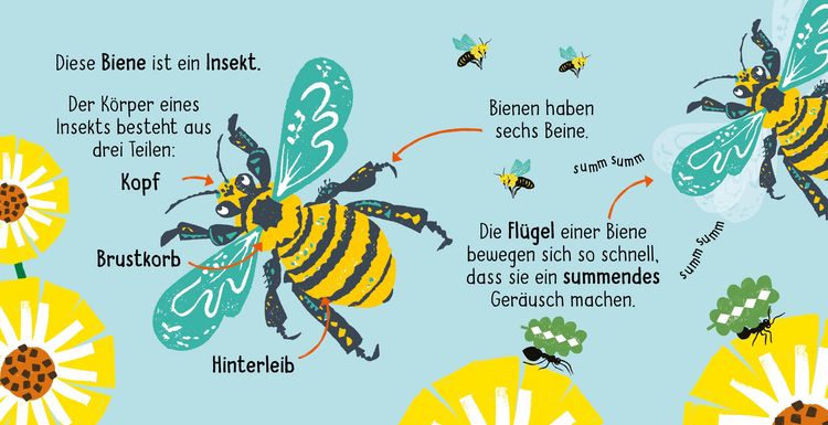 Produktbild: 50 W&ouml;rter &uuml;ber die Natur - Insekten