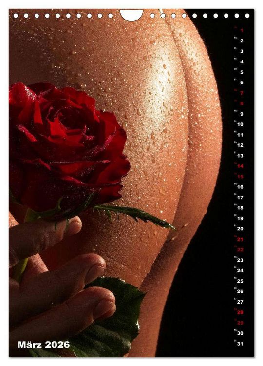 Produktbild: Andro~Po~sophisches (Wandkalender 2026 DIN A4 hoch), CALVENDO Monatskalender