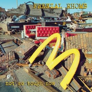 Produktbild: Not So Tough Now (col. Vinyl)