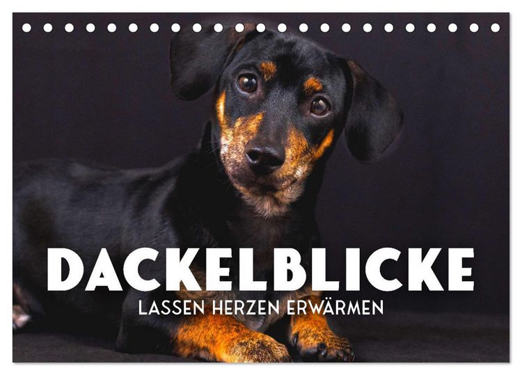 Produktbild: Dackelblicke - Lassen Herzen erw&auml;rmen. (Tischkalender 2026 DIN A5 quer), CALVENDO Monatskalender
