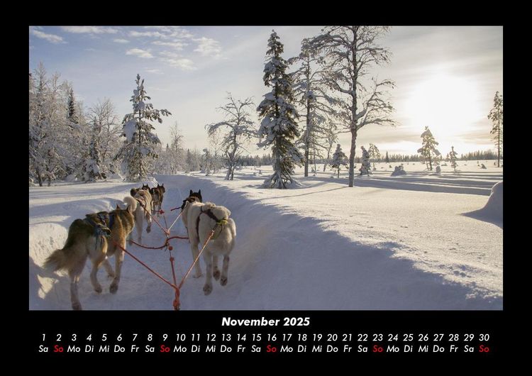 Produktbild: Hundezauber 2025 Fotokalender DIN A3