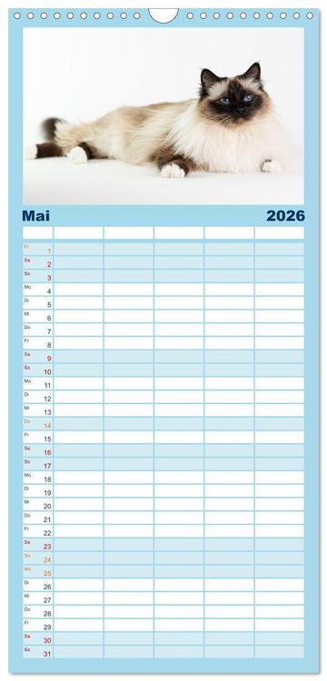 Produktbild: Familienplaner 2026 - Heilige Birma Katzen Kalender mit 5 Spalten (Wandkalender, 21 x 45 cm) CALVENDO