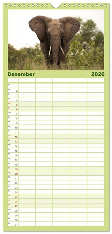 Produktbild: Familienplaner 2026 - Tierische Gl&uuml;cksmomente mit 5 Spalten (Wandkalender, 21 x 45 cm) CALVENDO