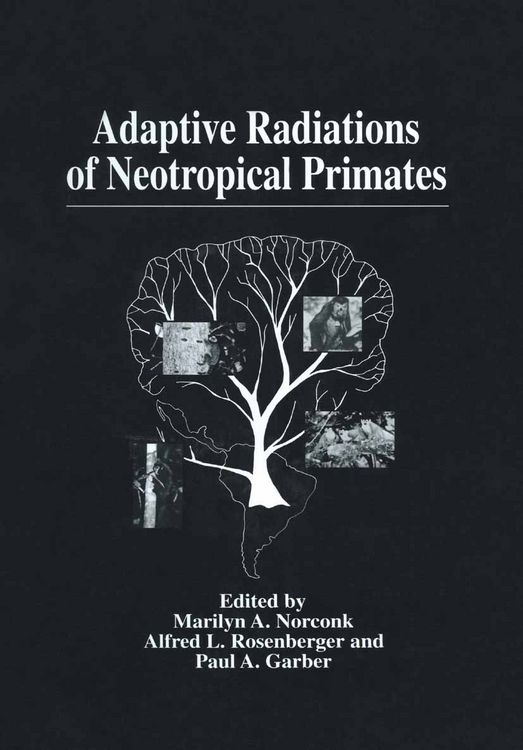Produktbild: Adaptive Radiations of Neotropical Primates