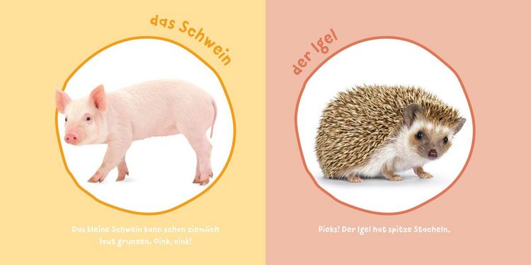 Produktbild: Baby Pixi (unkaputtbar) 183: Mein Baby-Pixi-Buggybuch: Meine ersten Tiere