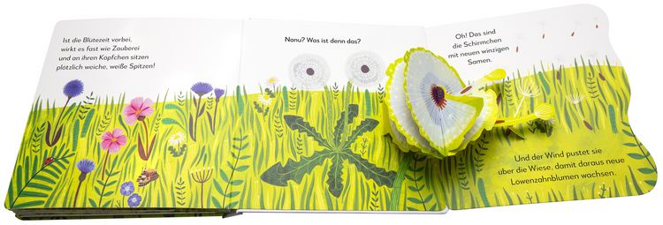 Produktbild: Mein Pop-up-Buch zum Staunen. Wo kommst du her, kleiner L&ouml;wenzahn?