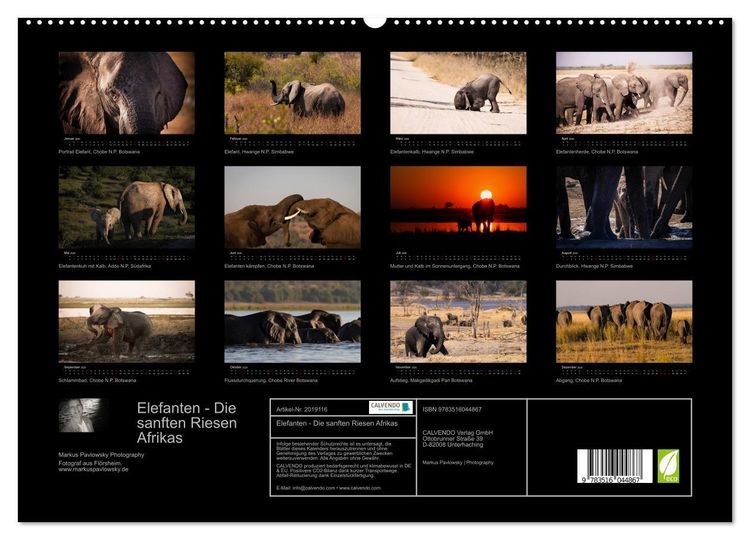 Produktbild: Elefanten - Die sanften Riesen Afrikas (hochwertiger Premium Wandkalender 2026 DIN A2 quer), Kunstdruck in Hochglanz