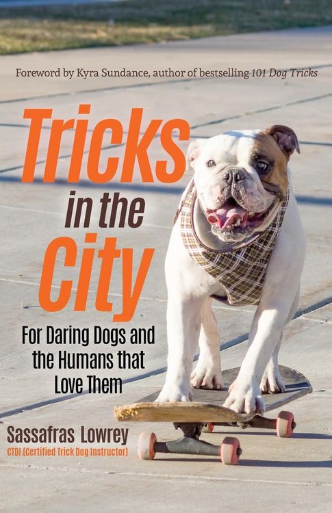 Produktbild: Tricks in the City