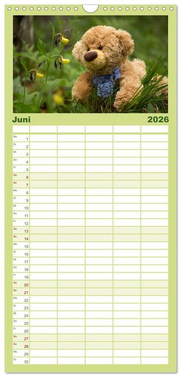 Produktbild: Familienplaner 2026 - Travelling Teddy mit 5 Spalten (Wandkalender, 21 x 45 cm) CALVENDO