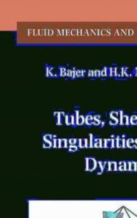 Produktbild: Tubes, Sheets and Singularities in Fluid Dynamics