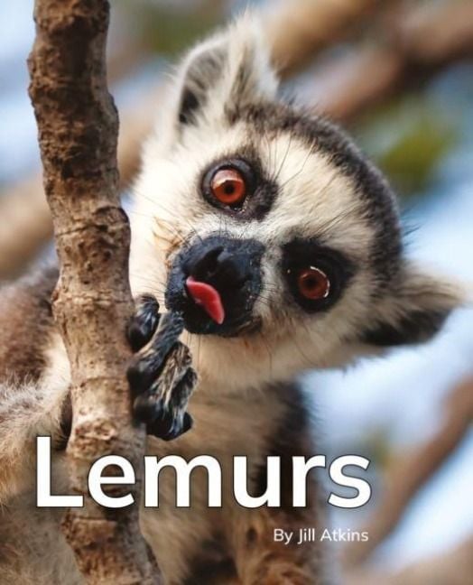 Produktbild: Lemurs