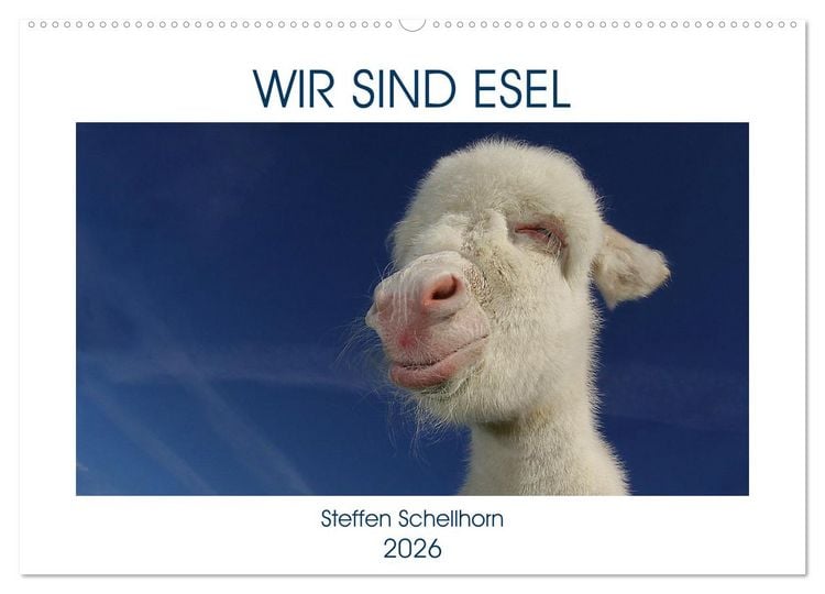 Produktbild: WIR SIND ESEL (Wandkalender 2026 DIN A2 quer), CALVENDO Monatskalender