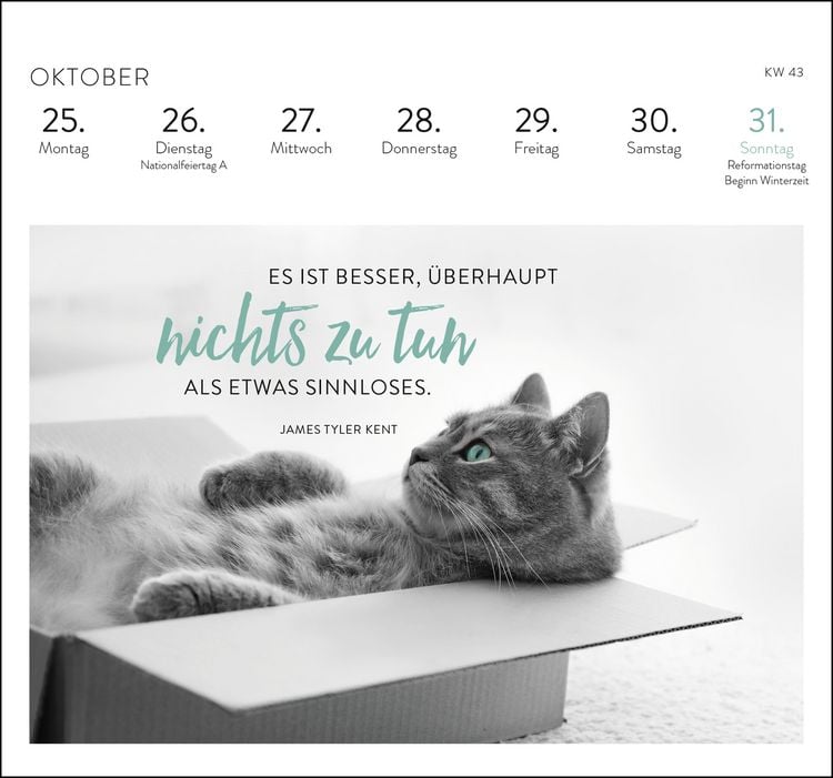 Produktbild: Postkartenkalender 2027: Inspirierende Worte f&uuml;r Katzenfreunde