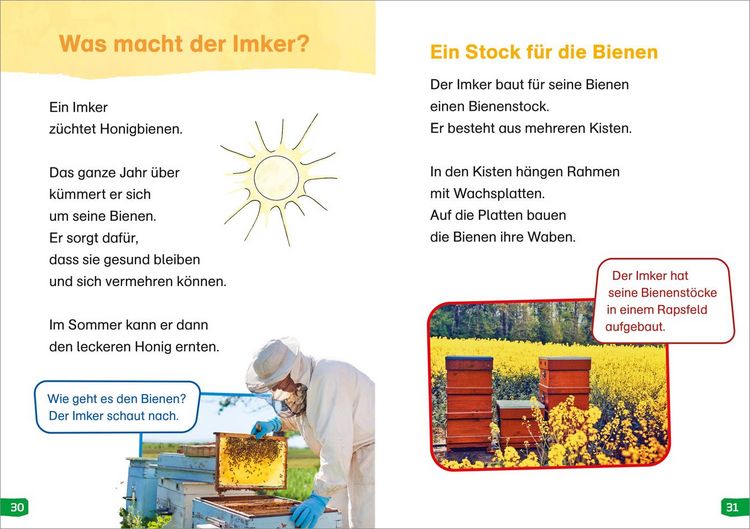 Produktbild: WAS IST WAS Erstes Lesen easy! Band 3. Wie lebt die Honigbiene?