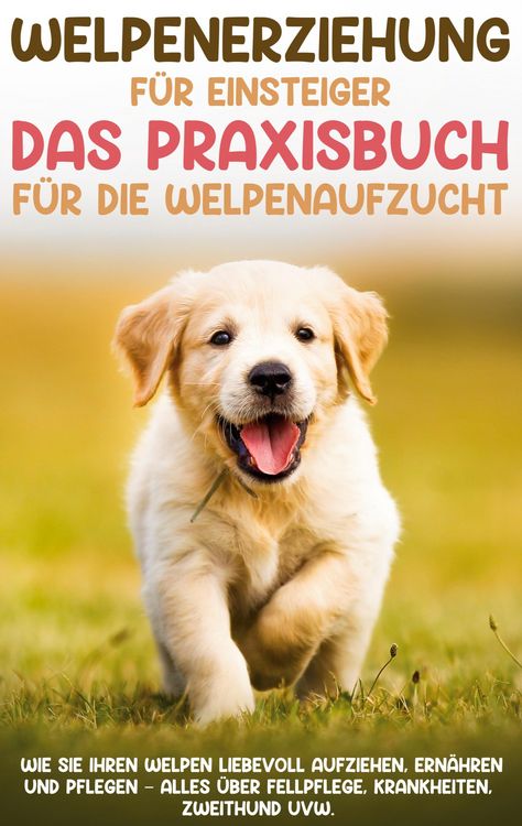 Produktbild: Welpenerziehung f&uuml;r Einsteiger - Das Praxisbuch f&uuml;r die Welpenaufzucht: Wie Sie Ihren Welpen liebevoll aufziehen, ern&auml;hren und pflegen - alles &uuml;ber Fe