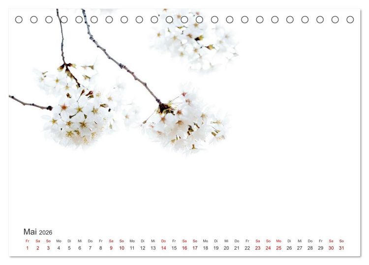Produktbild: ZEN - Eine Reise zu sich selbst (Tischkalender 2026 DIN A5 quer), CALVENDO Monatskalender