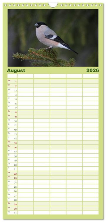 Produktbild: Familienplaner 2026 - Die farbenfrohe Welt der Finken mit 5 Spalten (Wandkalender, 21 x 45 cm) CALVENDO