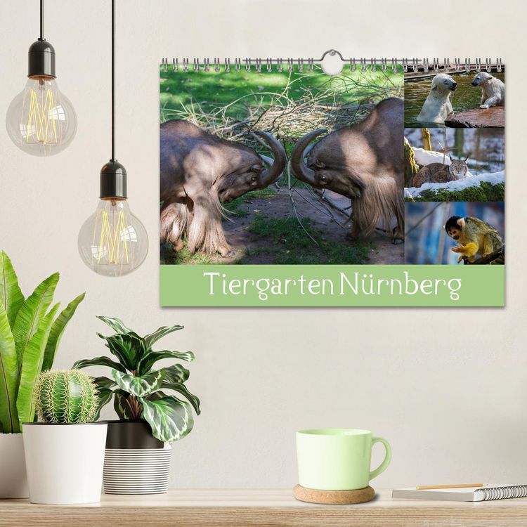 Produktbild: Tiergarten N&uuml;rnberg (Wandkalender 2026 DIN A4 quer), CALVENDO Monatskalender