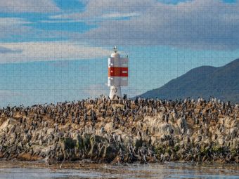Produktbild: CALVENDO Puzzle Patagonien, Tierra del Fuego: K&ouml;nig Kormorane im Beagle-Kanal | 1000 Teile Lege-Gr&ouml;&szlig;e 64x48cm Foto-Puzzle f&uuml;r gl&uuml;ckliche Stunden