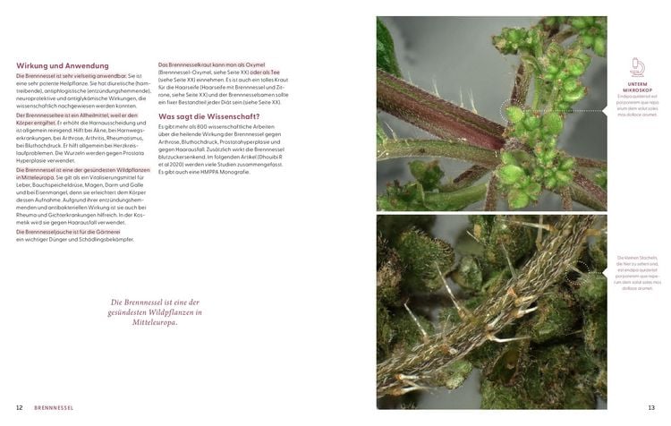 Wie Wildkräuter wirken