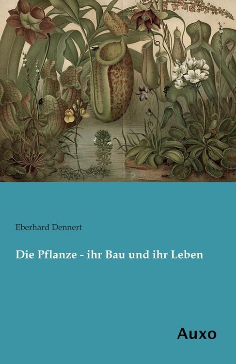 Produktbild: Die Pflanze - ihr Bau und ihr Leben