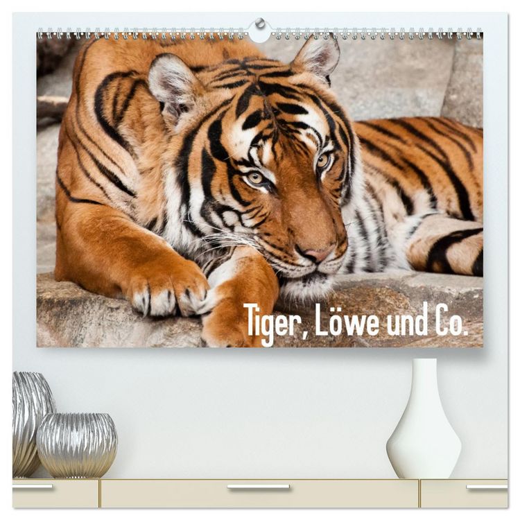 Produktbild: Tiger, L&ouml;we und Co. (hochwertiger Premium Wandkalender 2026 DIN A2 quer), Kunstdruck in Hochglanz