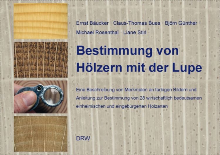 Produktbild: Bestimmung von H&ouml;lzern mit der Lupe