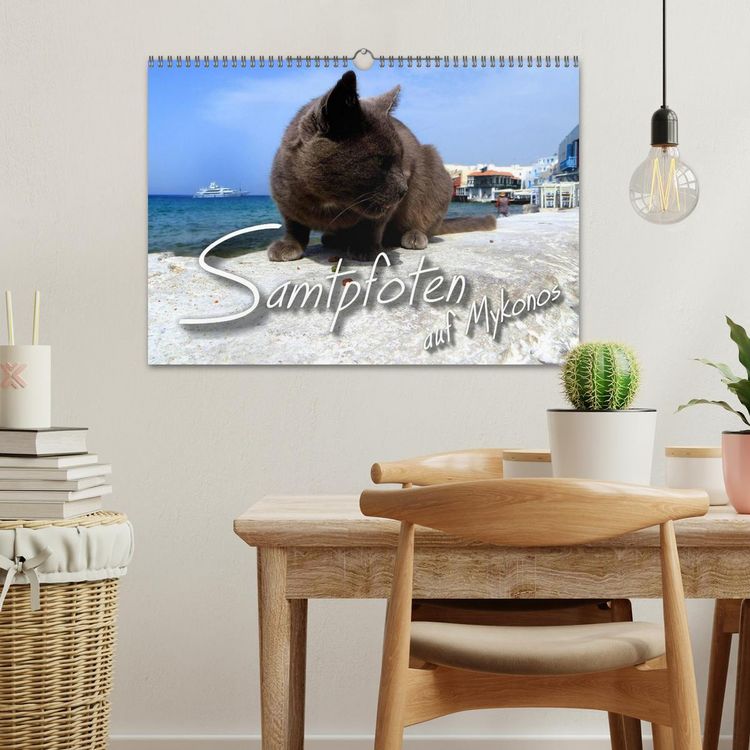 Produktbild: SAMTPFOTEN auf Mykonos (Wandkalender 2026 DIN A3 quer), CALVENDO Monatskalender