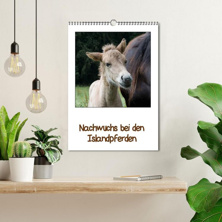 Produktbild: Nachwuchs bei den Islandpferden (Wandkalender 2026 DIN A3 hoch), CALVENDO Monatskalender