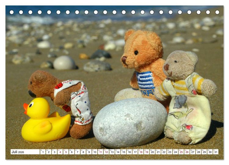 Produktbild: Die kleine Welt der Teddyb&auml;rchen (Tischkalender 2026 DIN A5 quer), CALVENDO Monatskalender